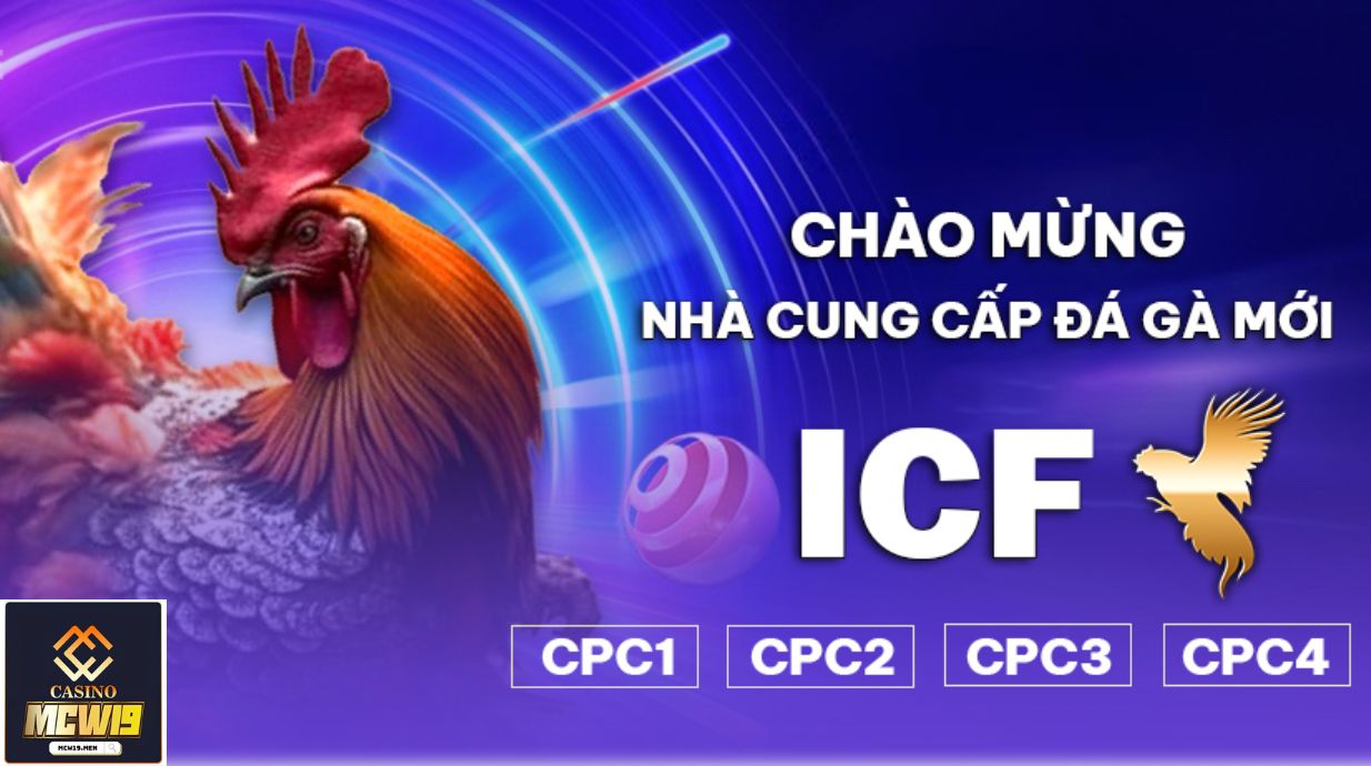 Cách Chơi Đá Gà ICF – Hướng Dẫn Chi Tiết Cho Người Mới